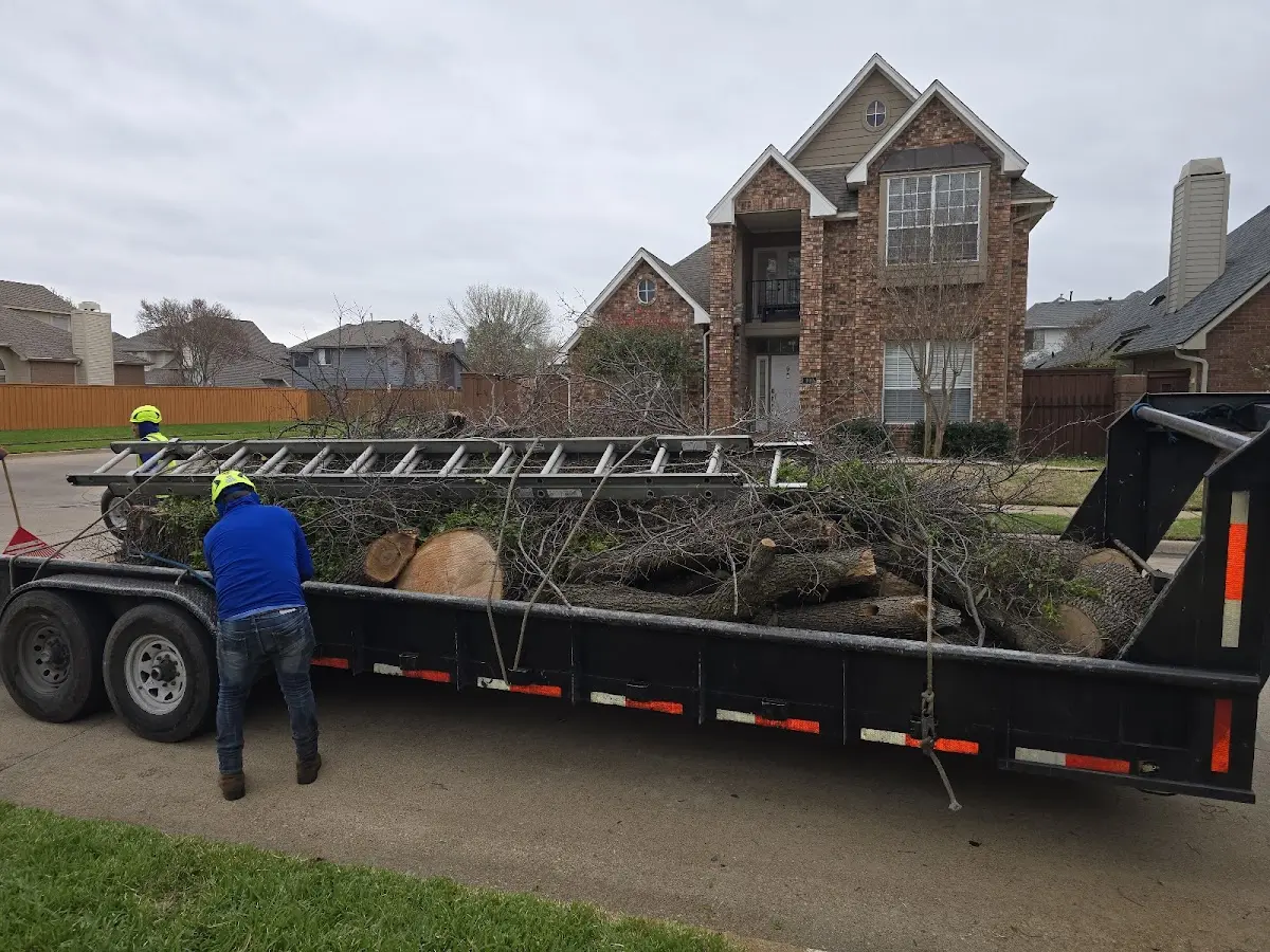 Expert Tree Fertilization with proper safety equipment in Wheatcroft